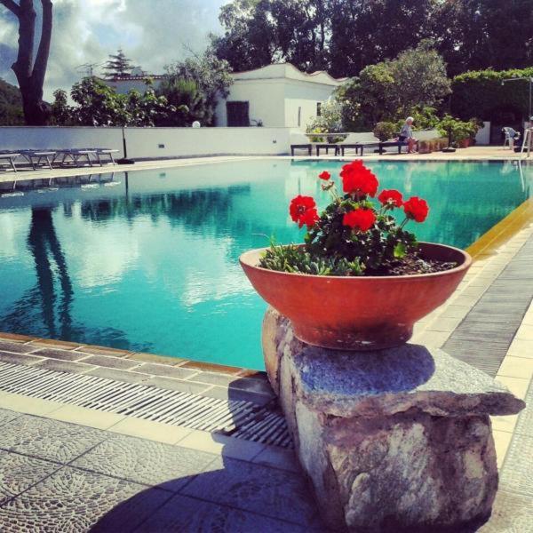 Hotel Al Bosco Forio  Exterior photo